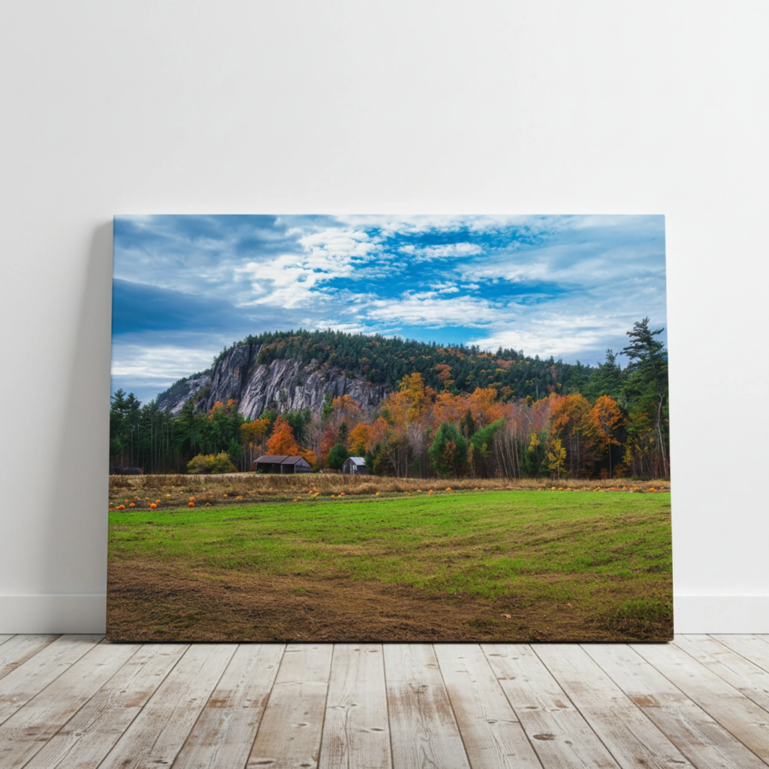 Echo Lake Farm - Canvas - Hero.jpg