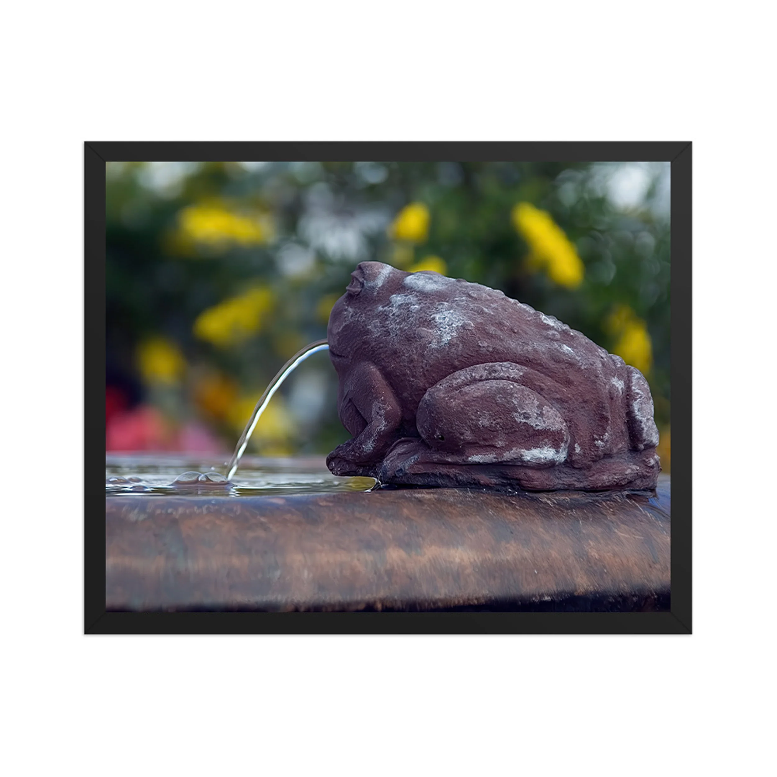 GREENHOUSE FROG - Keeper of the Garden