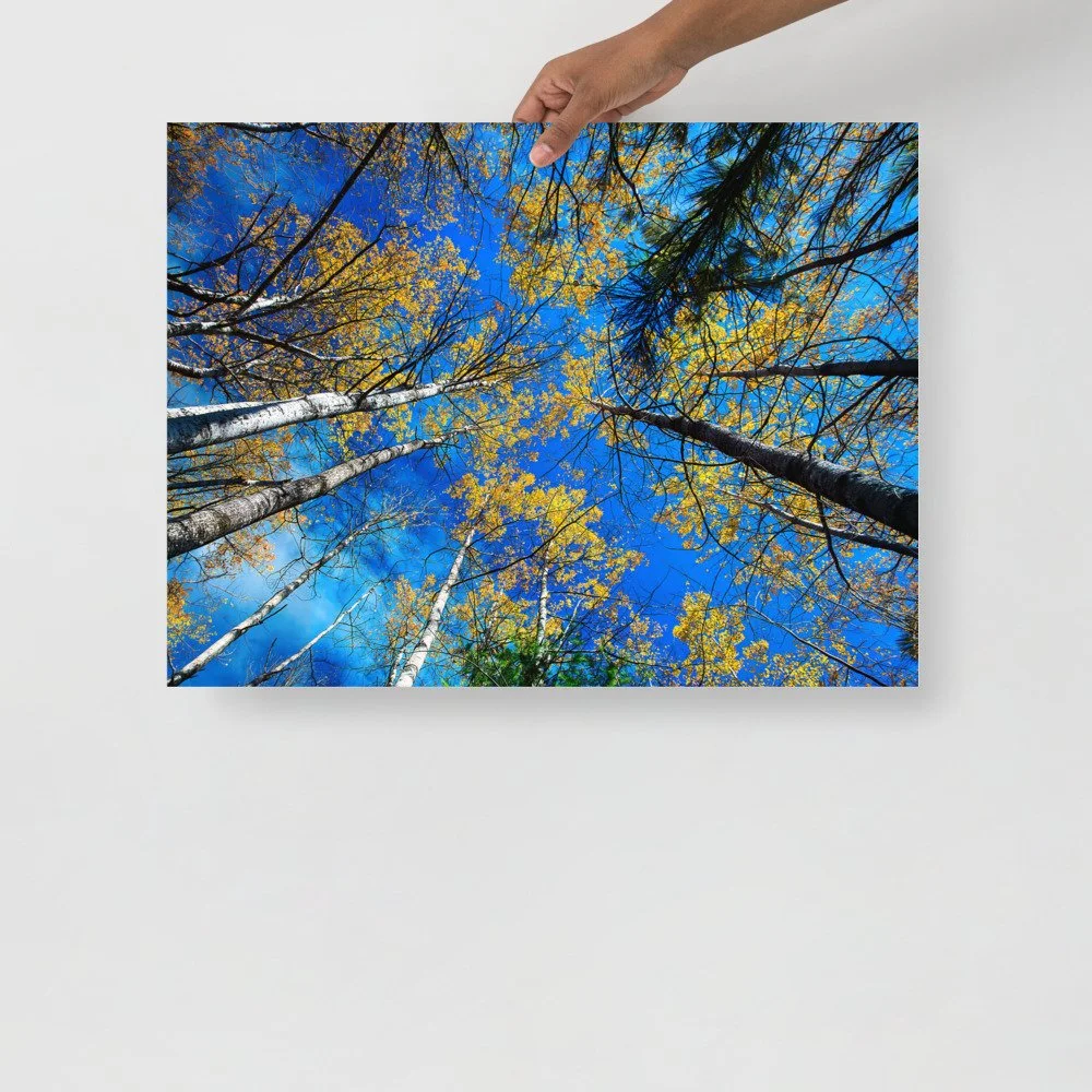 enhanced-matte-paper-poster-(in)-18x24-front-69d7937aa2ddc.jpg