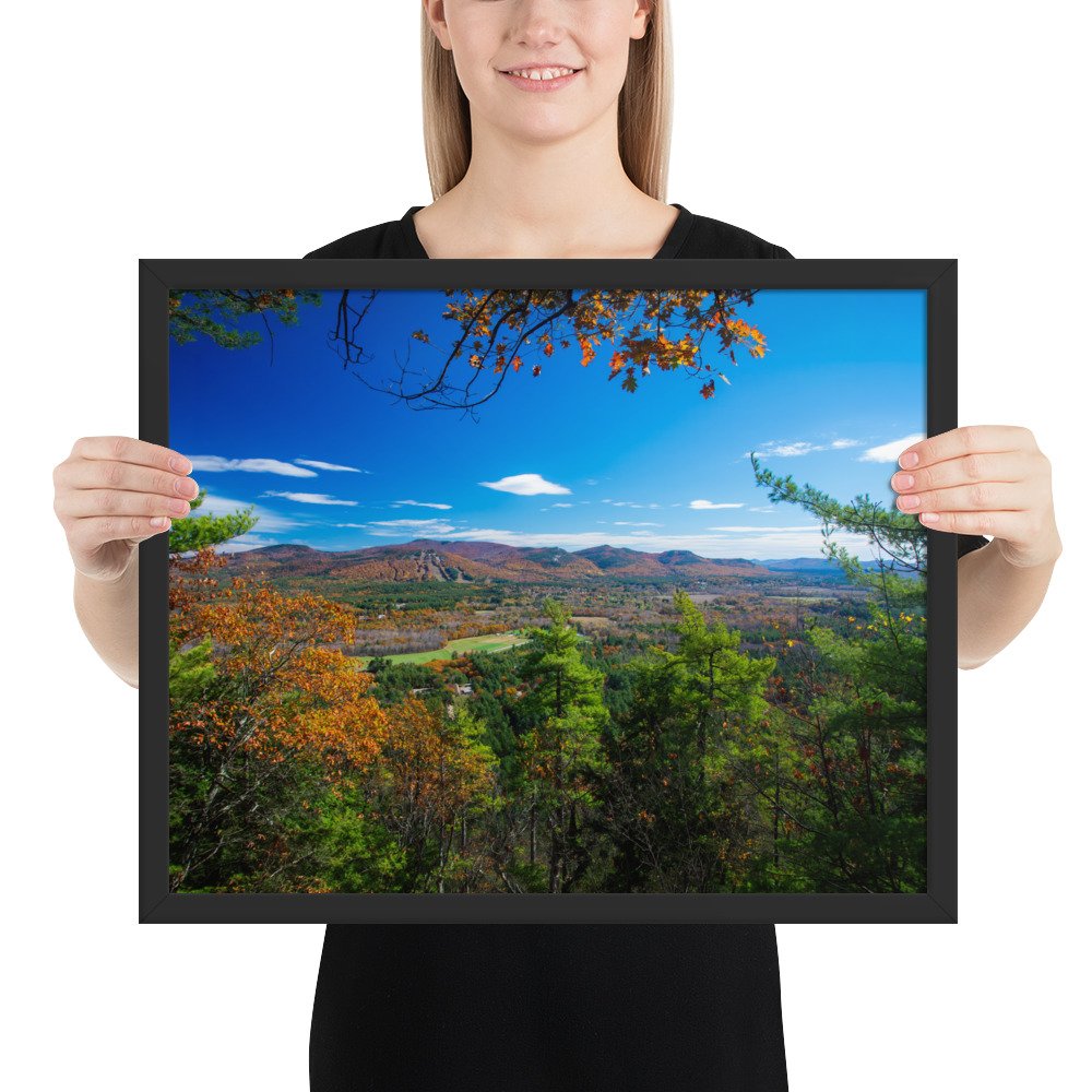 enhanced-matte-paper-framed-poster-(in)-black-16x20-person-69da49817753c.jpg