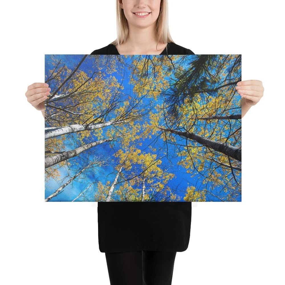 canvas-(in)-18x24-person-69d793fda4bd6.jpg