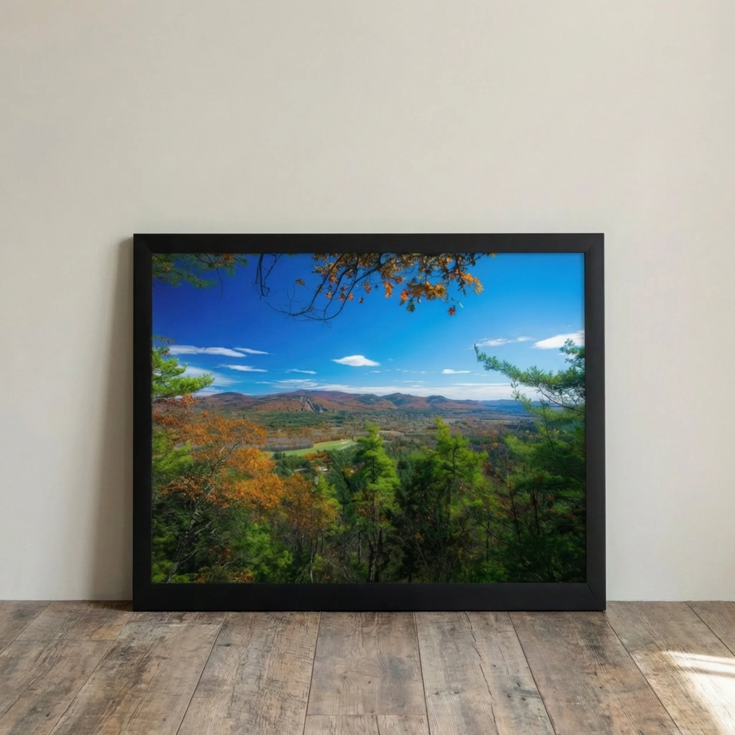 Peaked Mountain Lookout - Framed 2.jpg