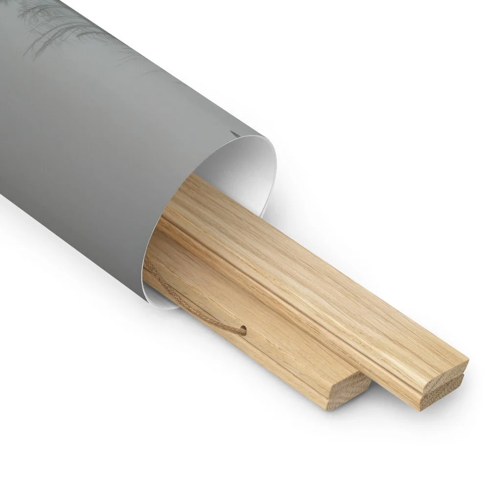 enhanced-matte-paper-poster-with-hanger-(in)-oak-10x10-product-details-2-69cc0a0c96fa4.jpg
