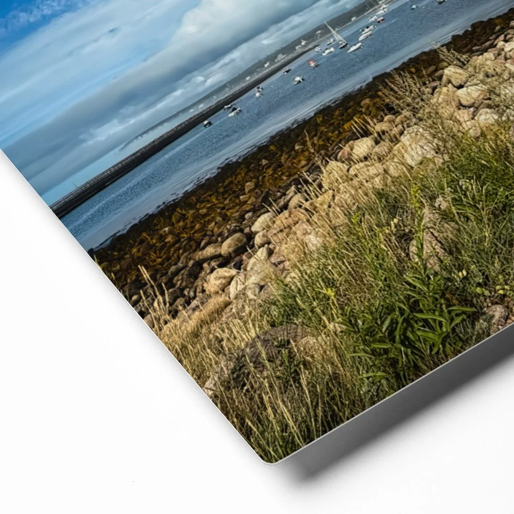 glossy-metal-print-(in)-white-16x20-product-details-69d3b1332882d.jpg