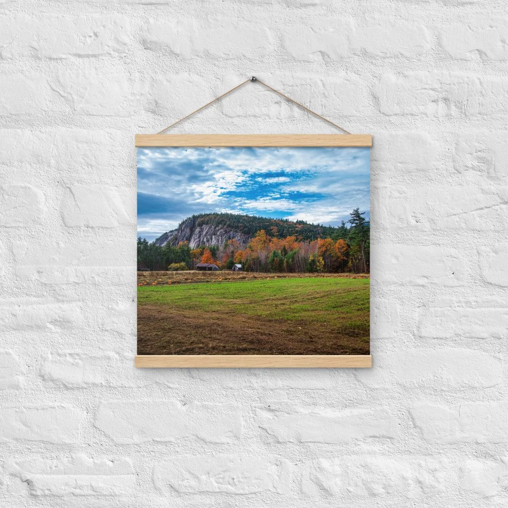 enhanced-matte-paper-poster-with-hanger-(in)-oak-16x16-front-69d51b72d58e1.jpg