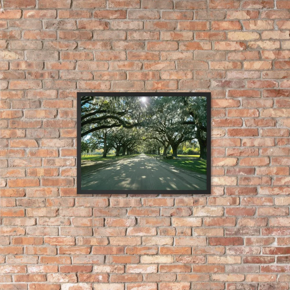 enhanced-matte-paper-framed-poster-(in)-black-18x24-lifestyle-4-69c9399ccbbbb.jpg
