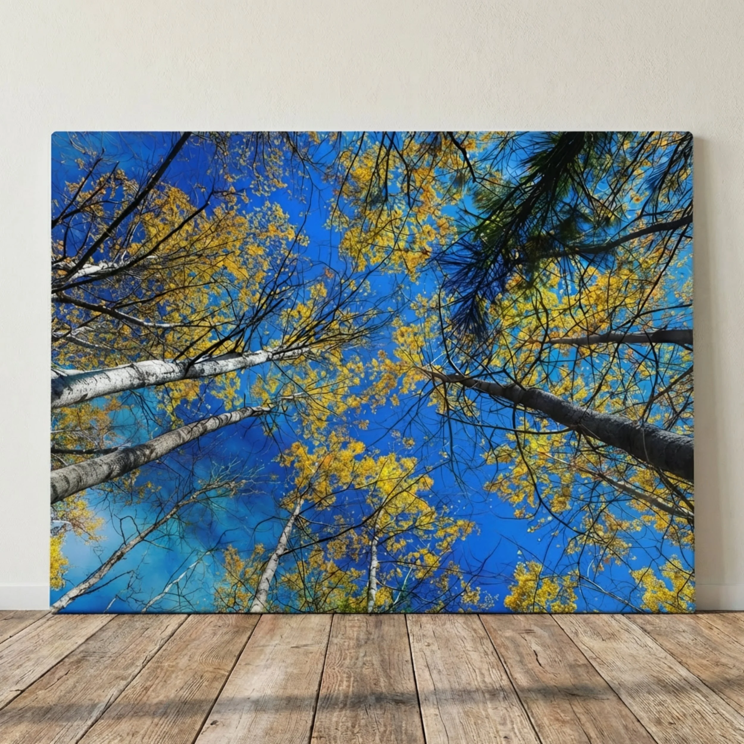 Birches in Autumn - Canvas 2.jpg