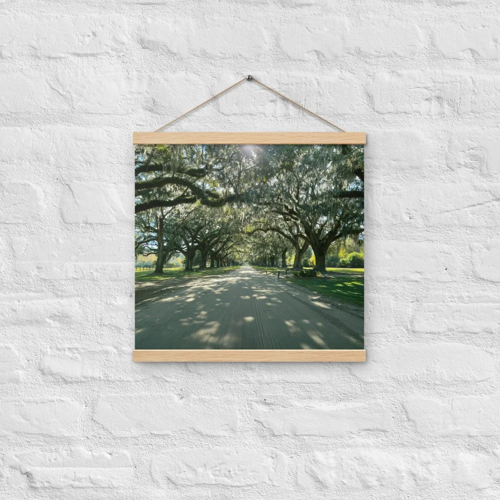 enhanced-matte-paper-poster-with-hanger-(in)-oak-16x16-front-69c93a563d24e.jpg
