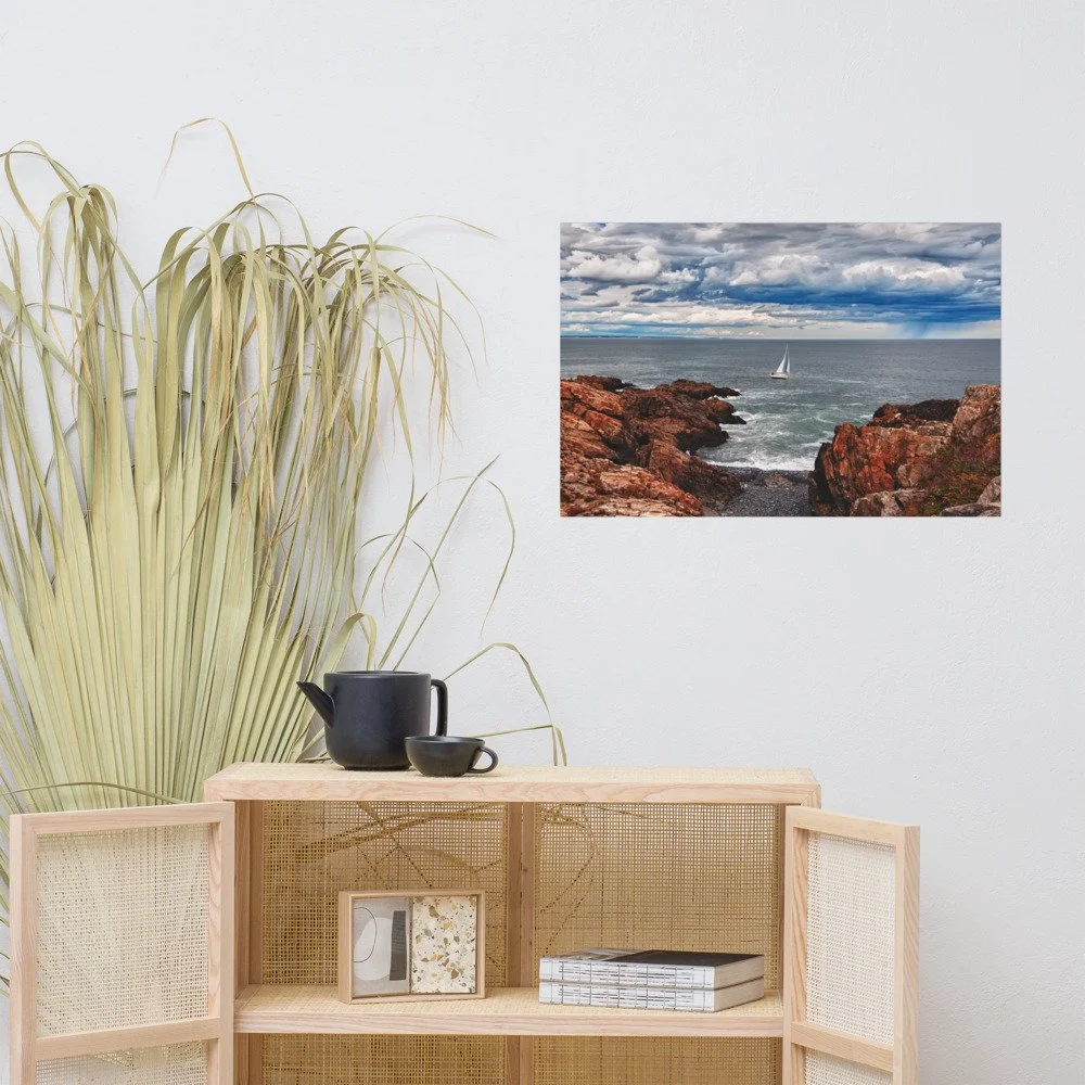 enhanced-matte-paper-poster-(in)-20x30-front-69cd18cea9515.jpg