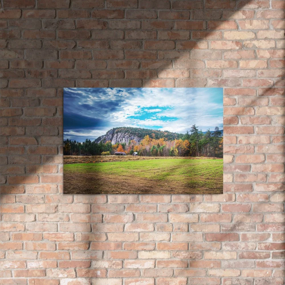 glossy-metal-print-(in)-white-20x30-front-69d51be0b0020.jpg