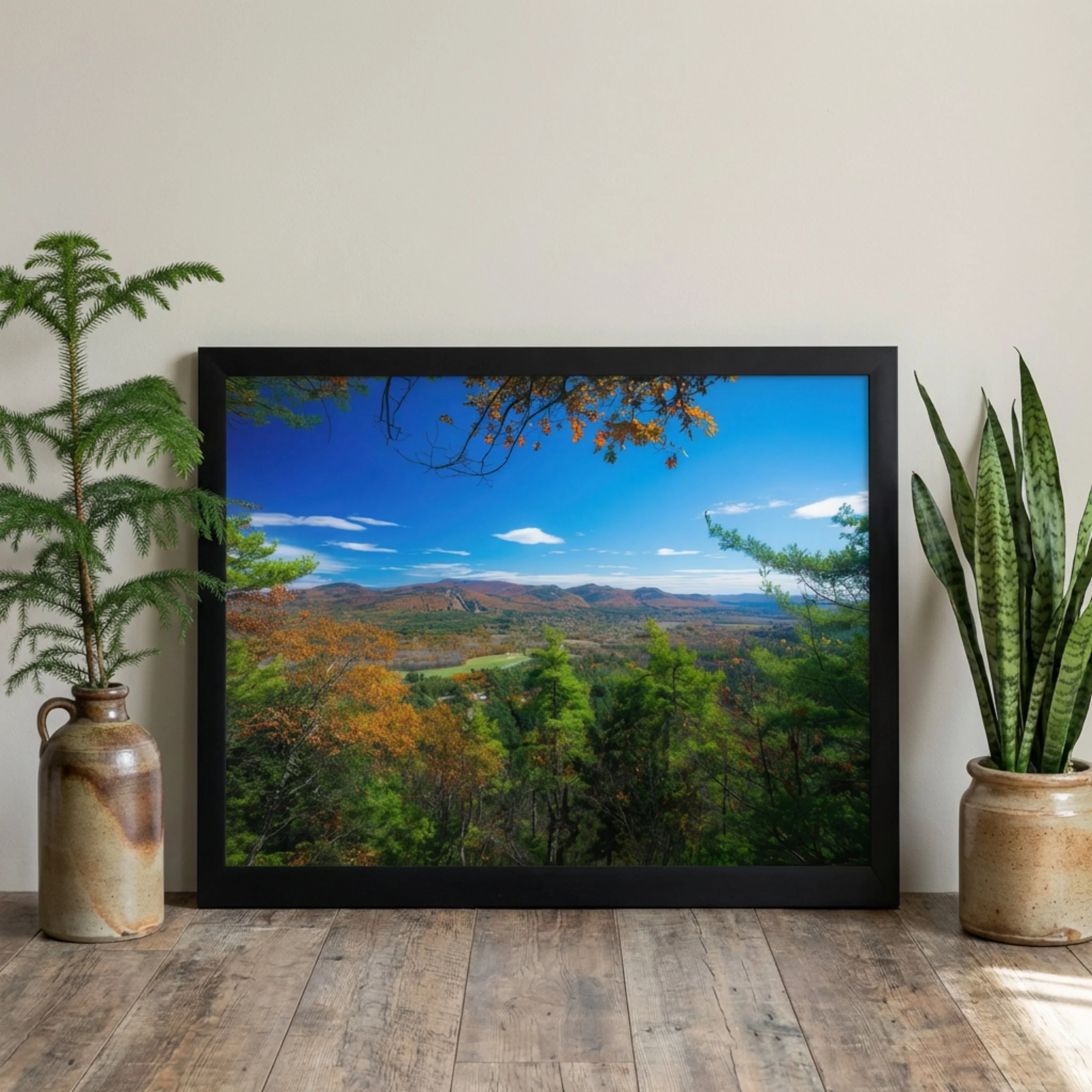 Peaked Mountain Lookout - Framed 1.jpg