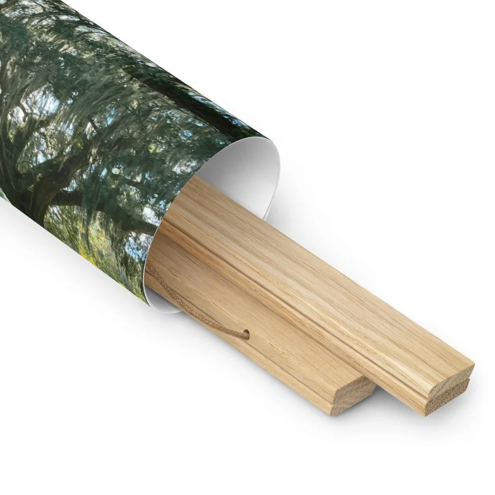 enhanced-matte-paper-poster-with-hanger-(in)-oak-18x18-product-details-2-69c93a563d5fb.jpg