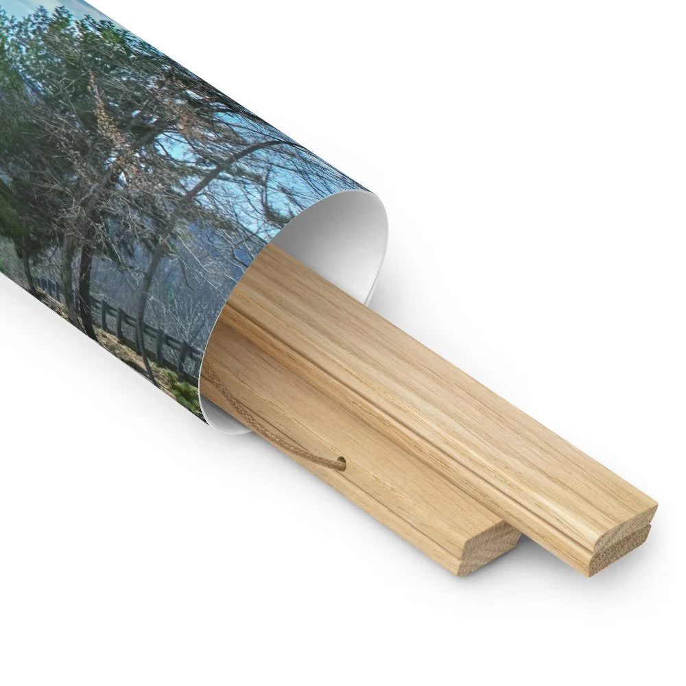 enhanced-matte-paper-poster-with-hanger-(in)-oak-18x18-product-details-2-69db84415ad04.jpg