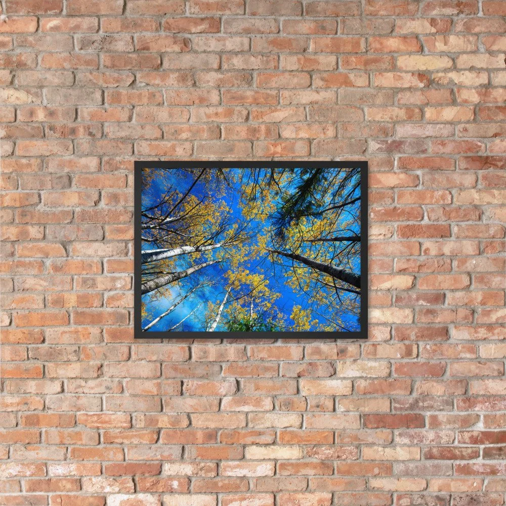 enhanced-matte-paper-framed-poster-(in)-black-18x24-lifestyle-4-69d793da5a07b.jpg