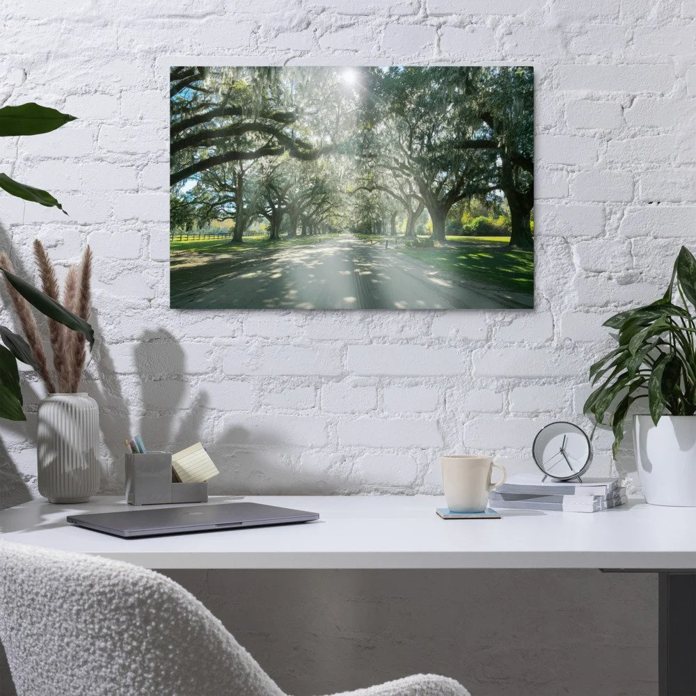 glossy-metal-print-(in)-white-20x30-front-69c93a276c021.jpg