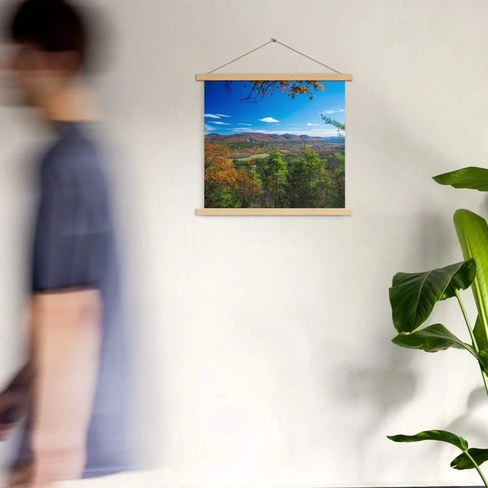 enhanced-matte-paper-poster-with-hanger-(in)-oak-18x18-front-69da48e9b34db.jpg