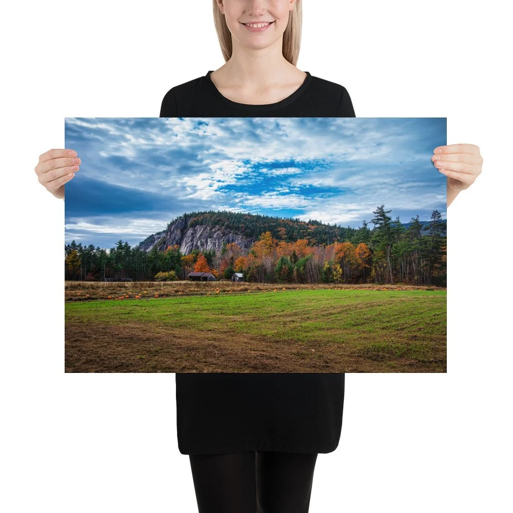 enhanced-matte-paper-poster-(in)-20x30-person-69d51bbb1439b.jpg