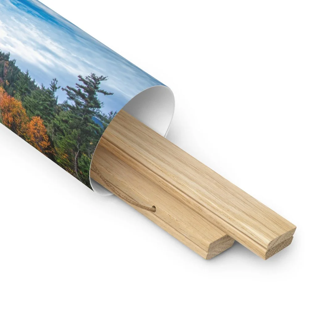 enhanced-matte-paper-poster-with-hanger-(in)-oak-18x18-product-details-2-69d51b72d5af1.jpg