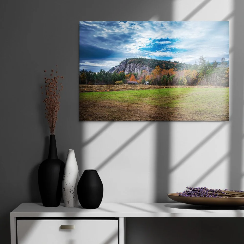 glossy-metal-print-(in)-white-20x30-front-69d51be0affb9.jpg