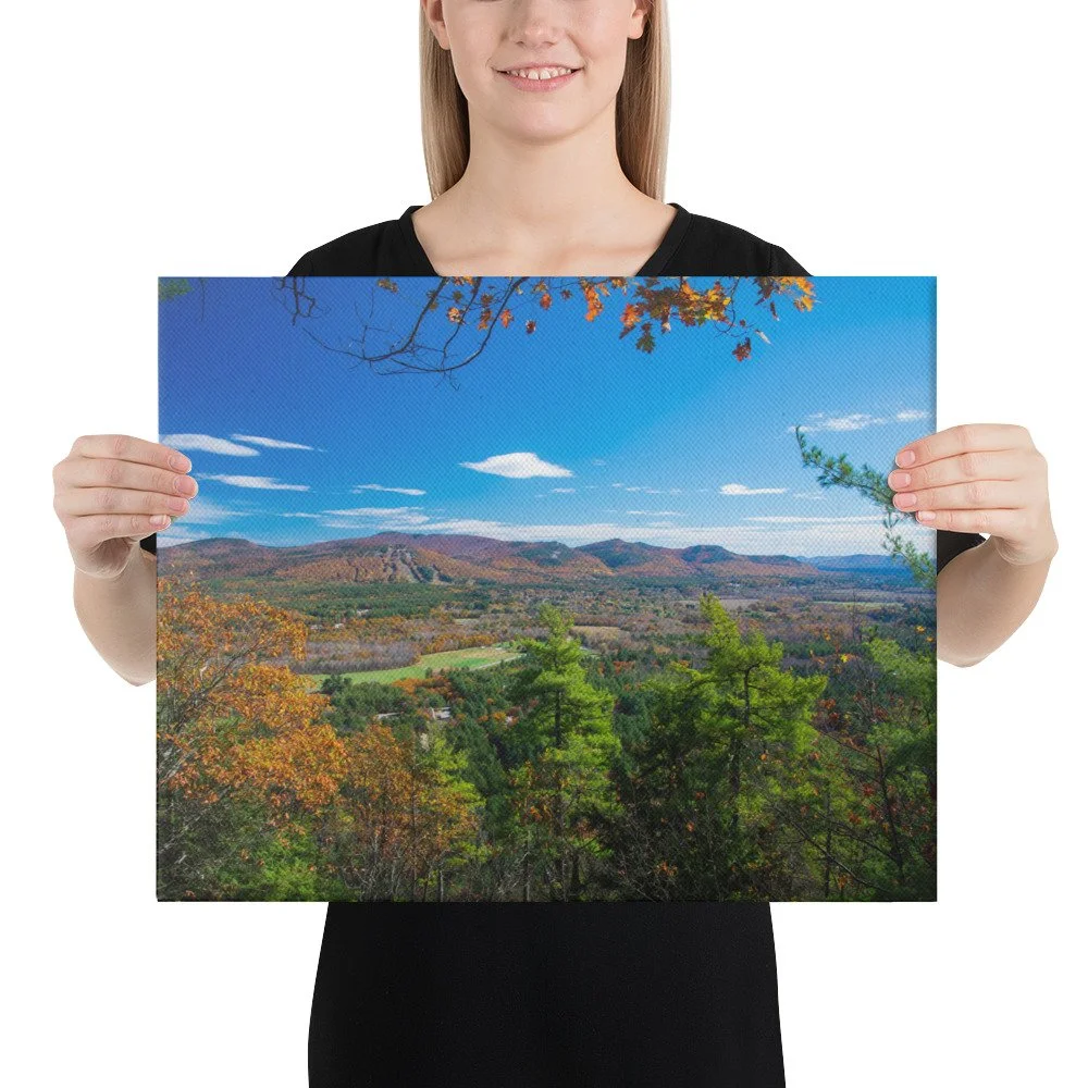 canvas-(in)-16x20-person-69da49b6f0ed0.jpg