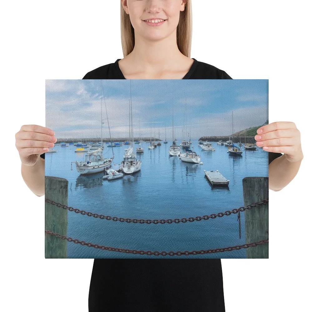 canvas-(in)-16x20-person-69cab0638eb8b.jpg