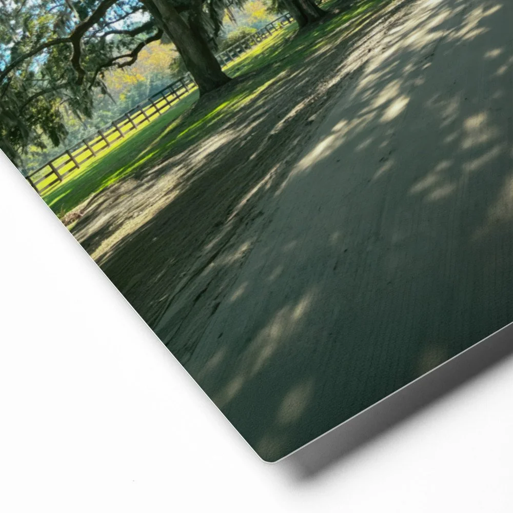 glossy-metal-print-(in)-white-16x20-product-details-69c93a276bd71.jpg