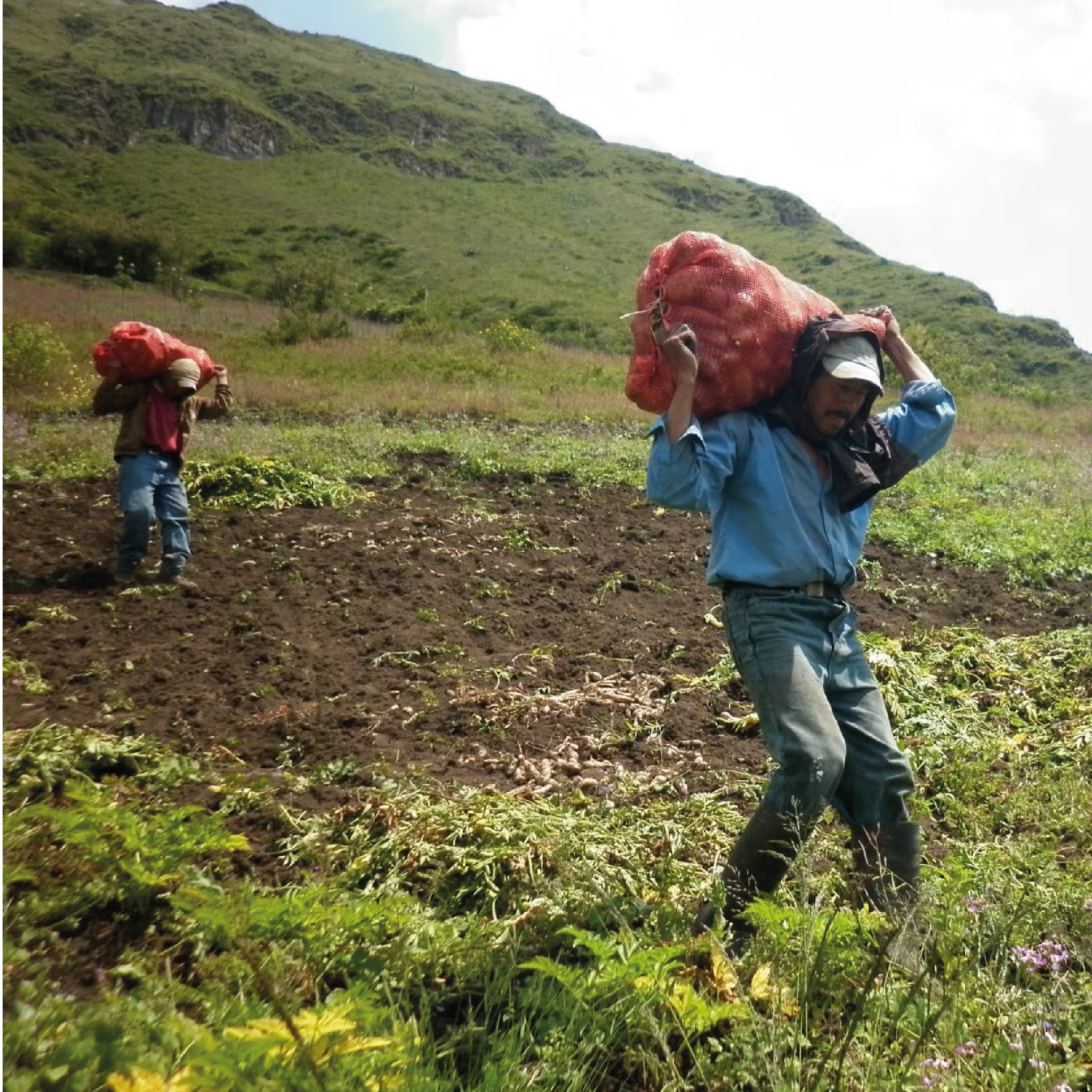 FOTOS FINALES BANNER-02.png