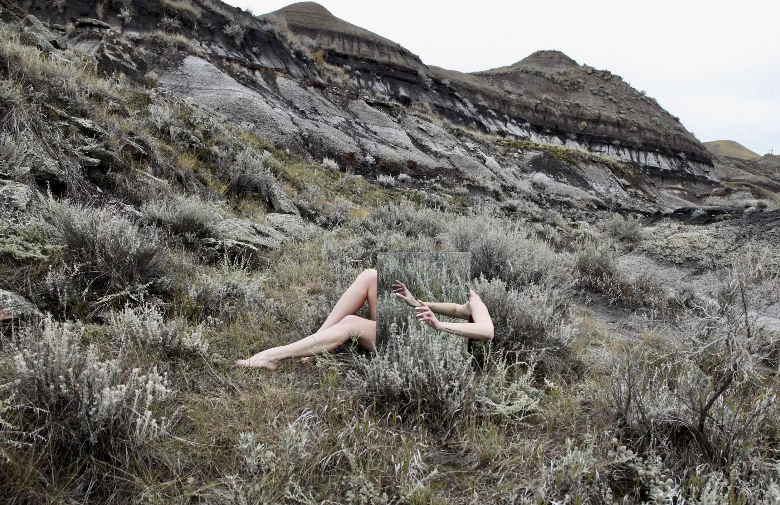 (in)site01 .jpg