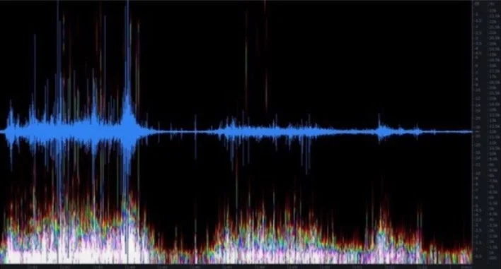 Screenshot 2025-08-01 at 1.20.18 PM.jpeg