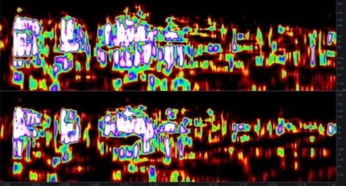 Screenshot 2025-08-01 at 1.20.39 PM.jpeg