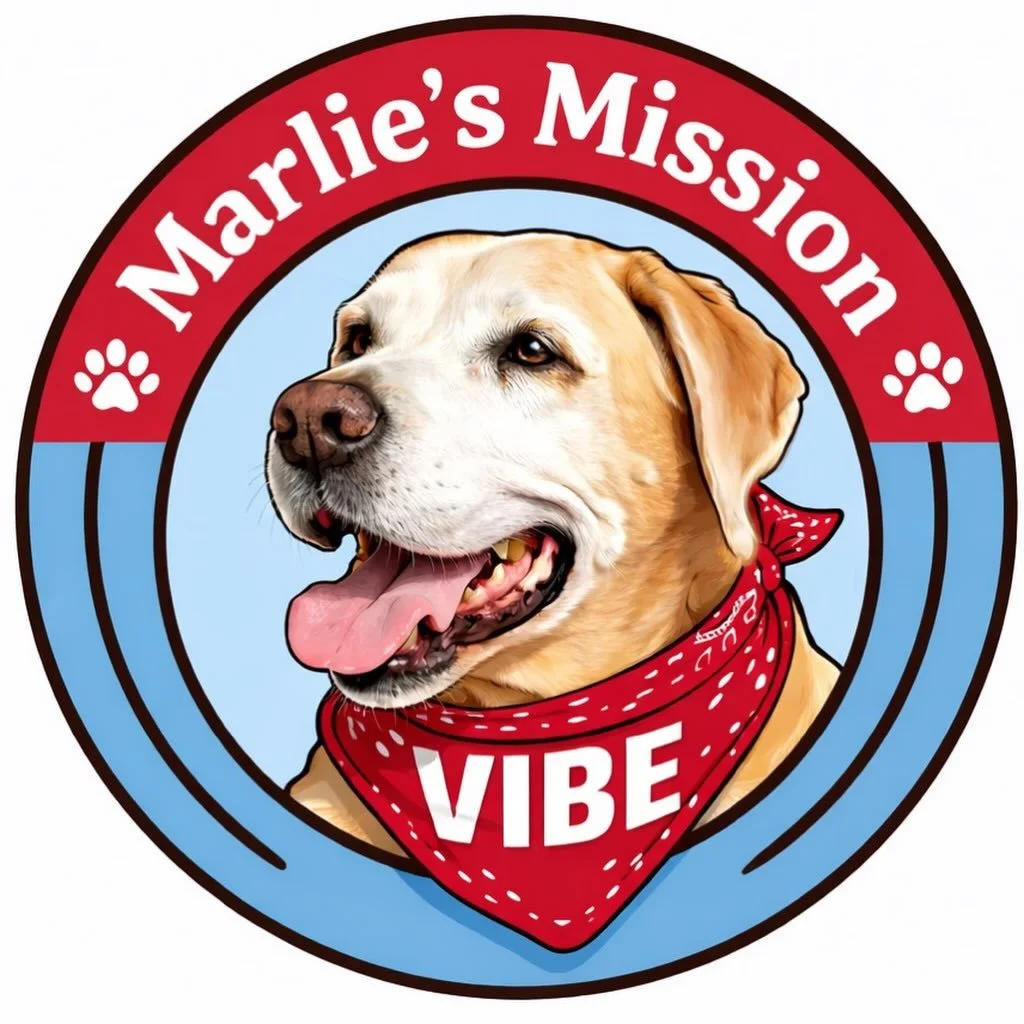 🐾 4th Annual Marlie&rsquo;s Mission 🐾 

We will be collecting dog beds and blankets to help comfort shelter dogs and help them get adopted ❤️

Marlie, our first mascot at VIBE, was at the gym every day. A total gym rat. She was known for her calmin