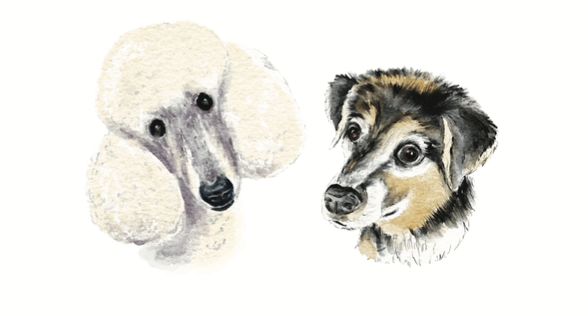 Screenshot 2025-08-06 at 1.04.00 PM.png