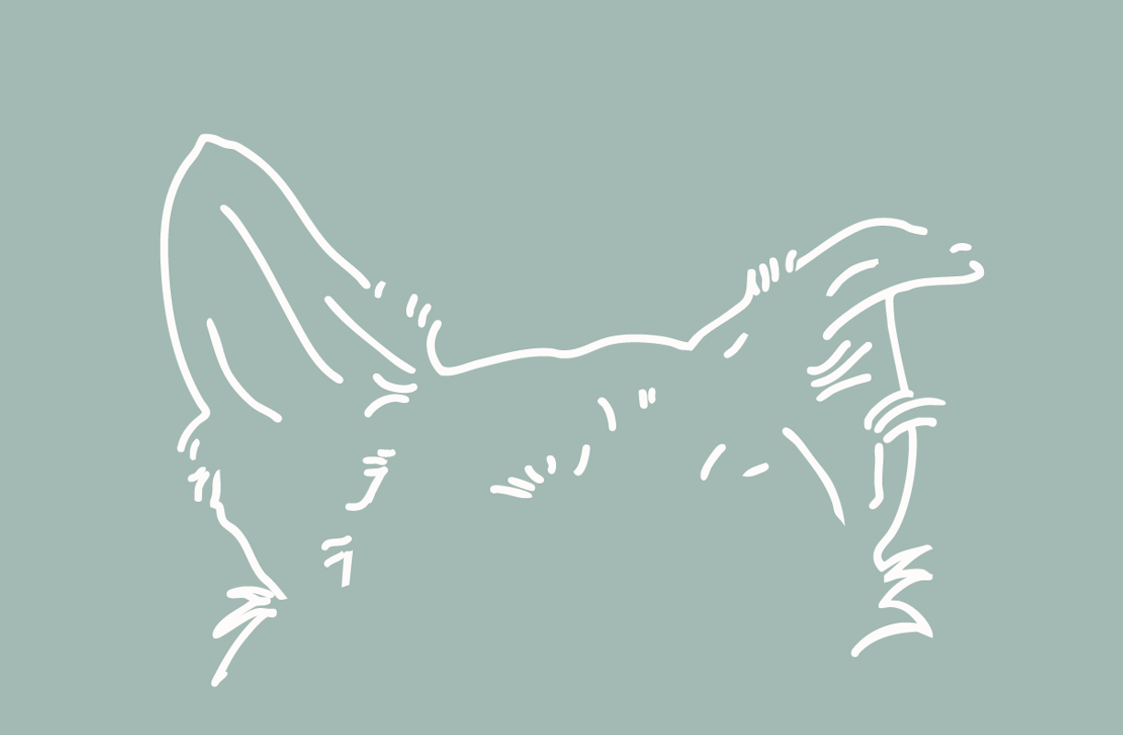 Screenshot 2025-08-06 at 1.36.45 PM.png