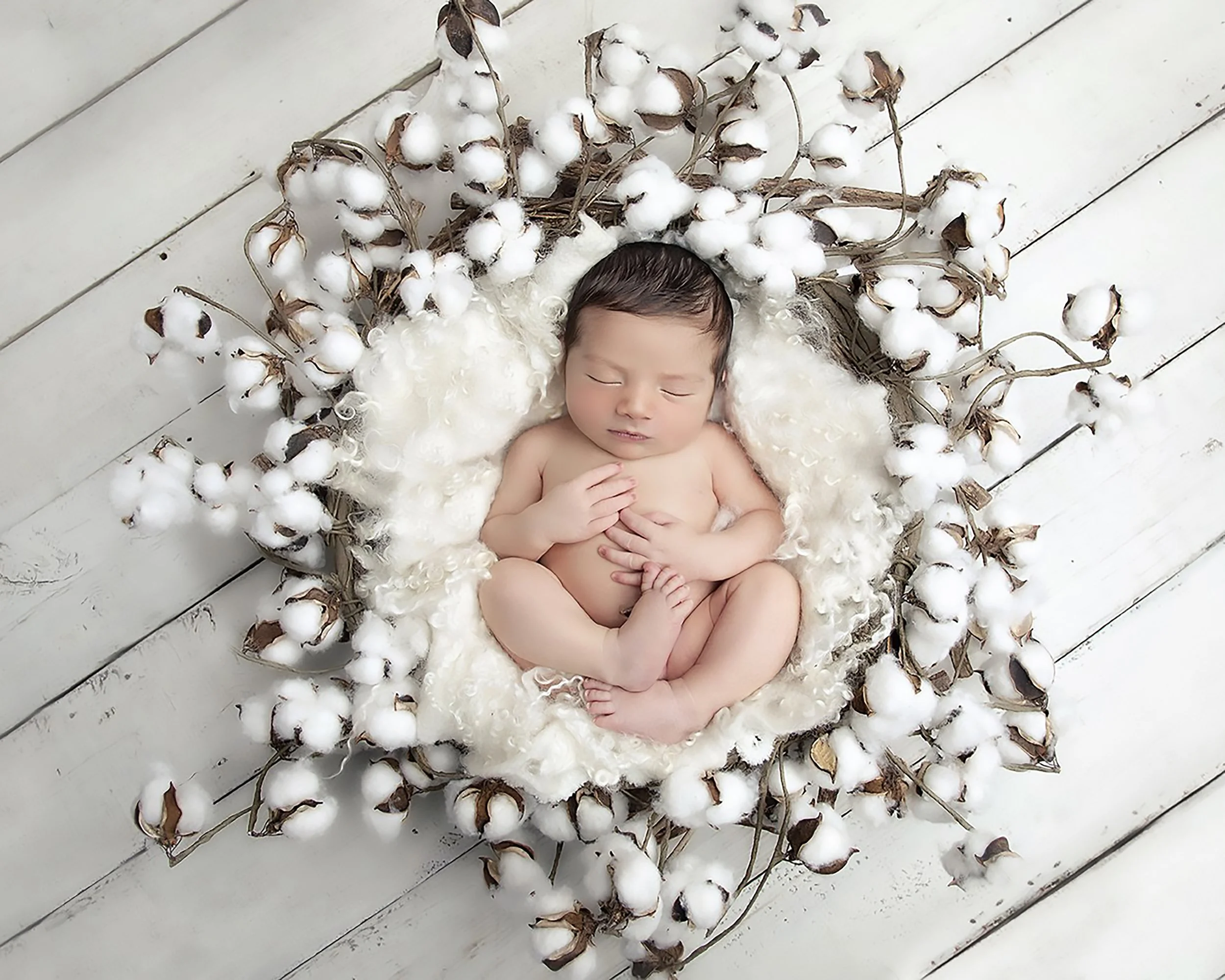 The Magic of Newborn Photography: A Memory Your Heart Will Treasure Forever