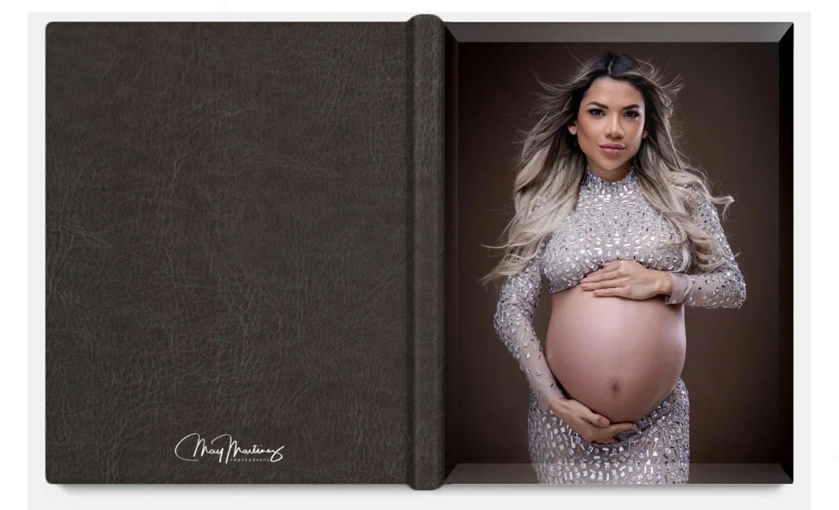 Fine Art Album With Acrylic Cover and Slipcase