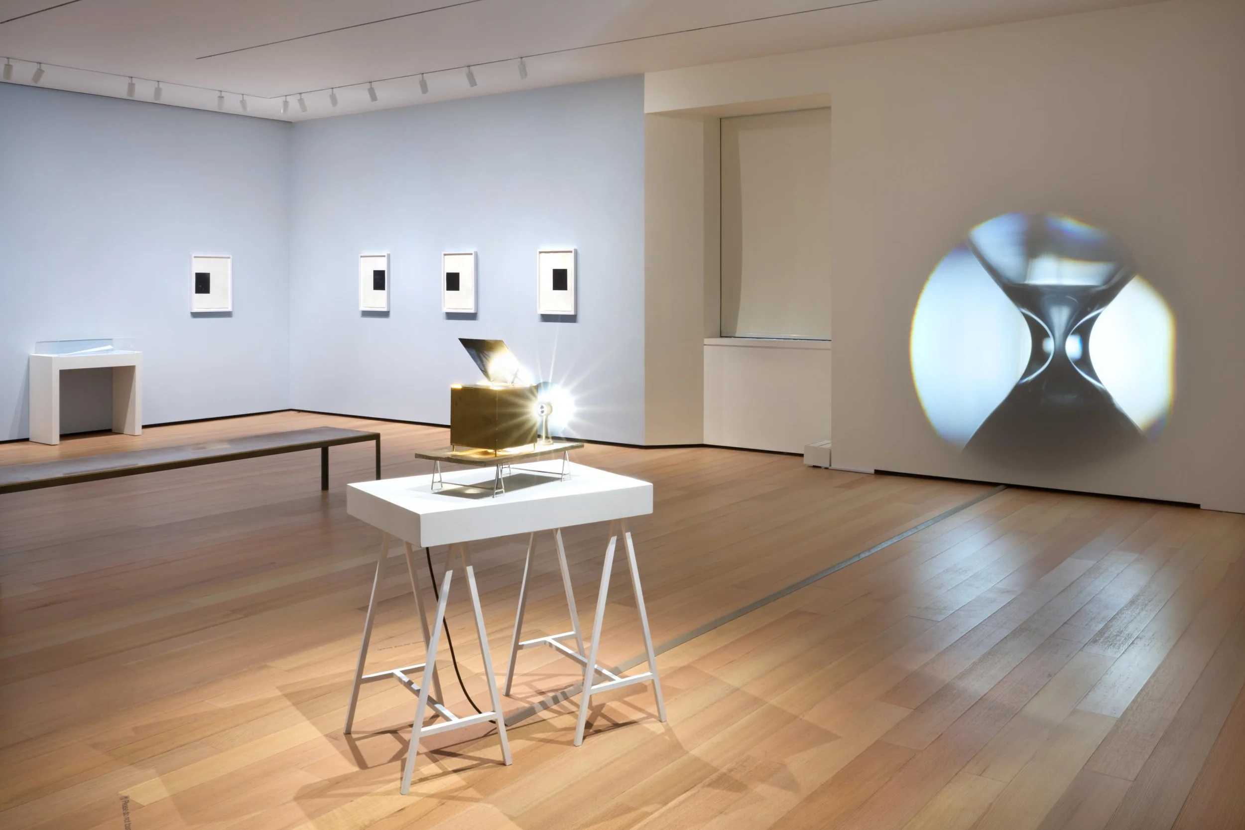 Francisco Tropa and Rosemarie Trockel (back wall)