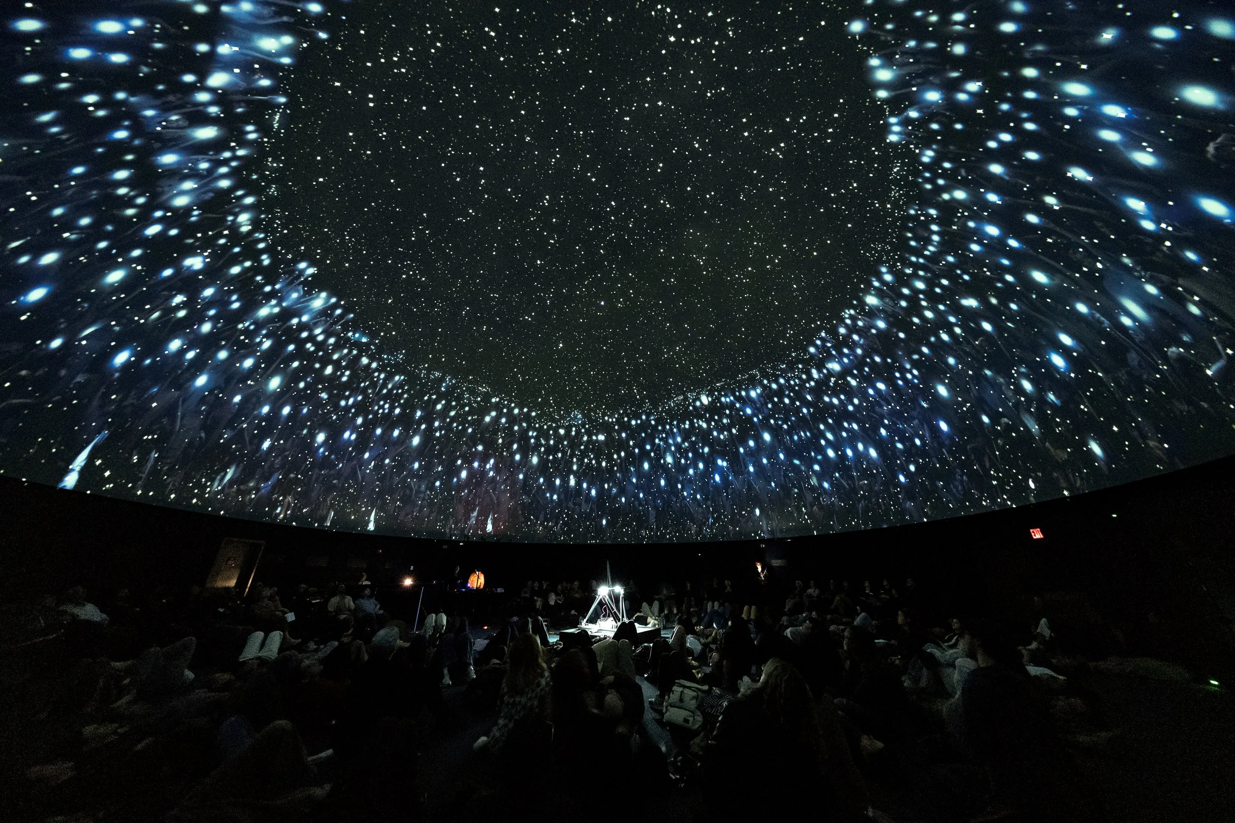 Lopez_Pandemonium Planetarium Performance_3.jpg