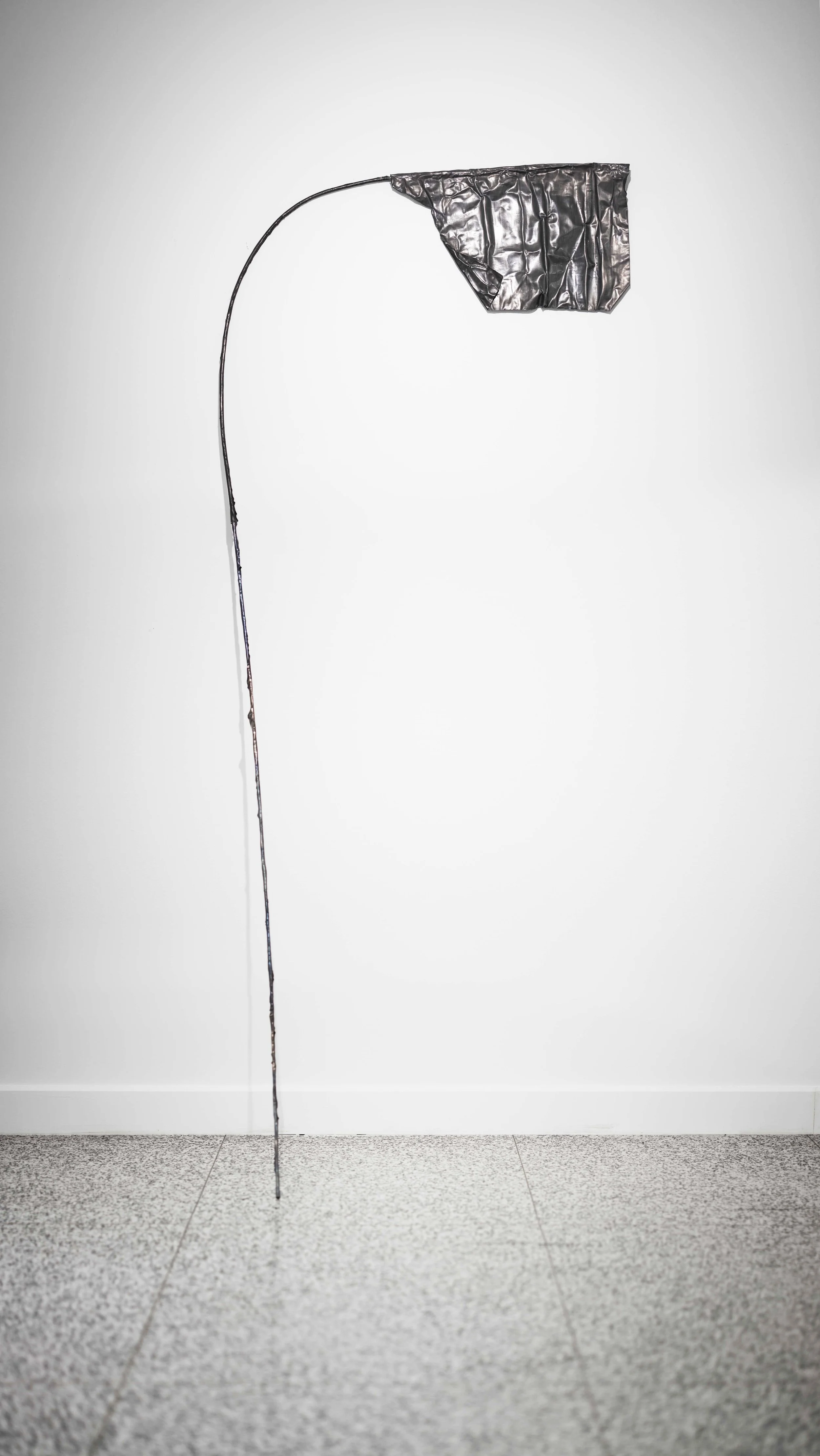 Lopez_Flag_photo by Matthew Bruinooge.jpg