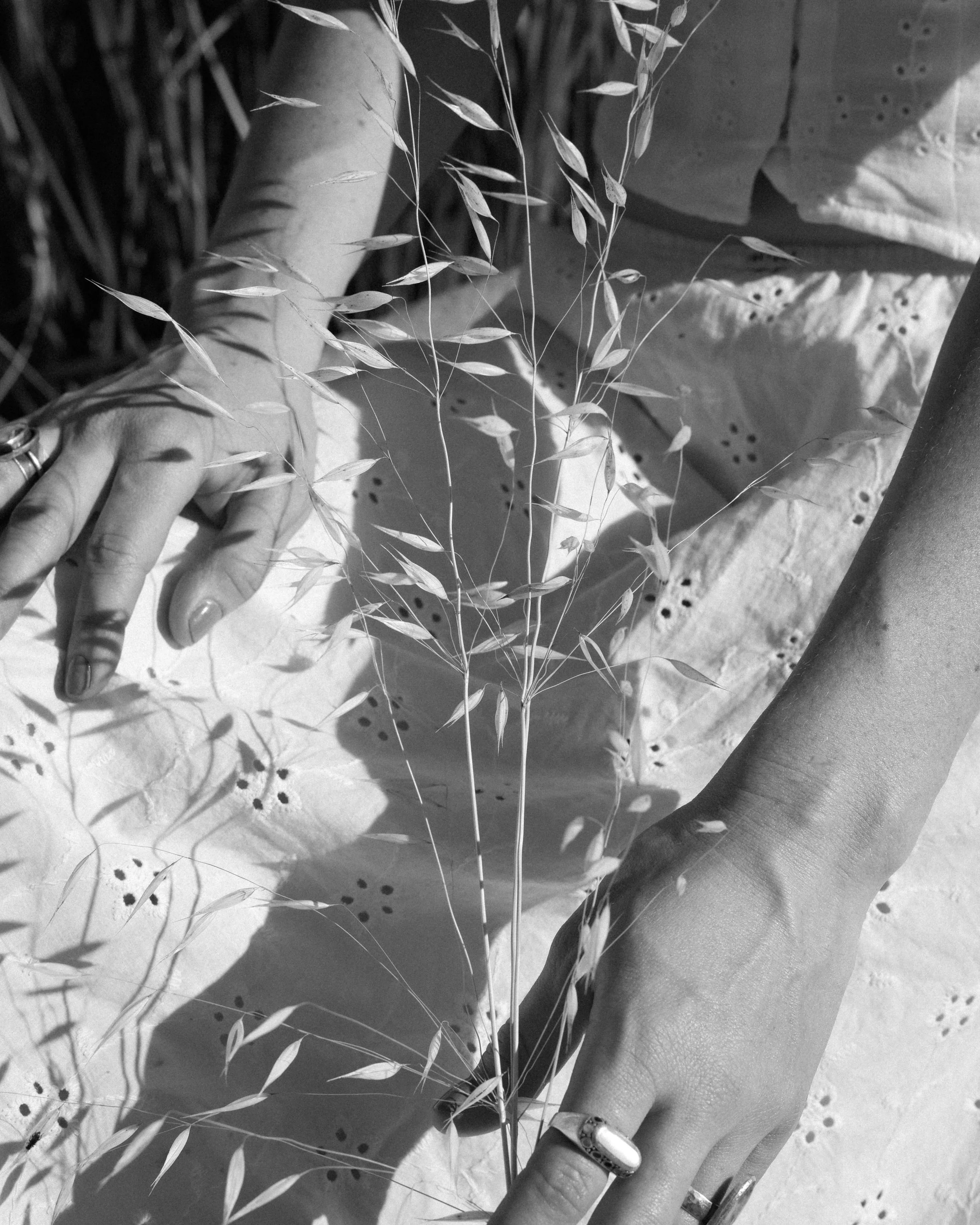 Contact ROAM Skin Wellness holistic facial studio located in downtown Ojai California