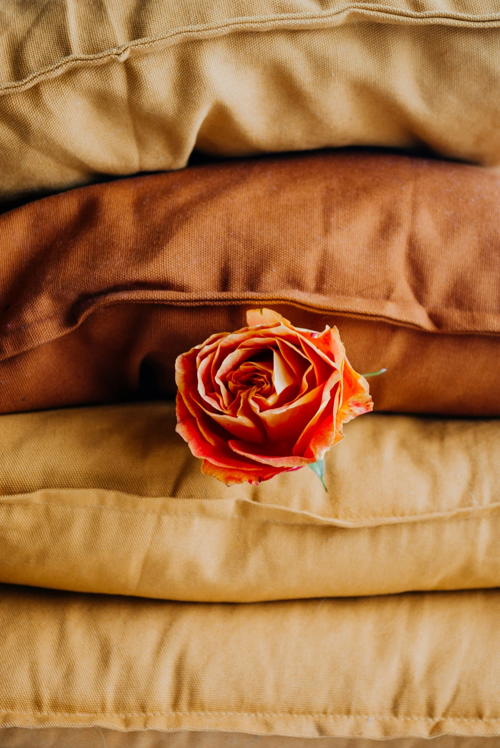 A peach-colored rose resting on a stack of folded fabric in shades of beige and brown.
