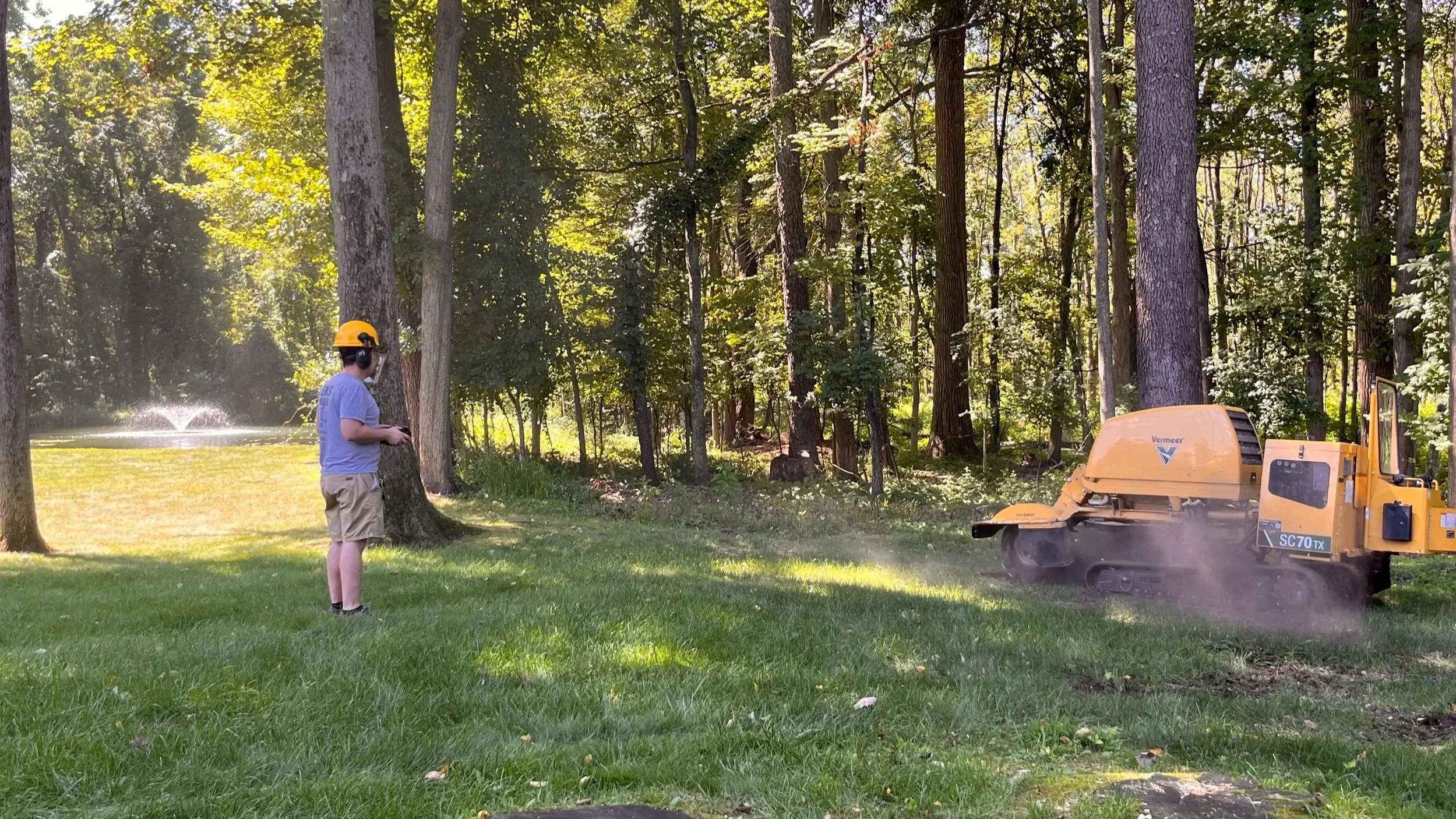 A person wearing a blue shirt, shorts, a yellow safety helmet, and ear protection operates a yellow wood chipping machine in a forested park area with a grassy field and trees.
