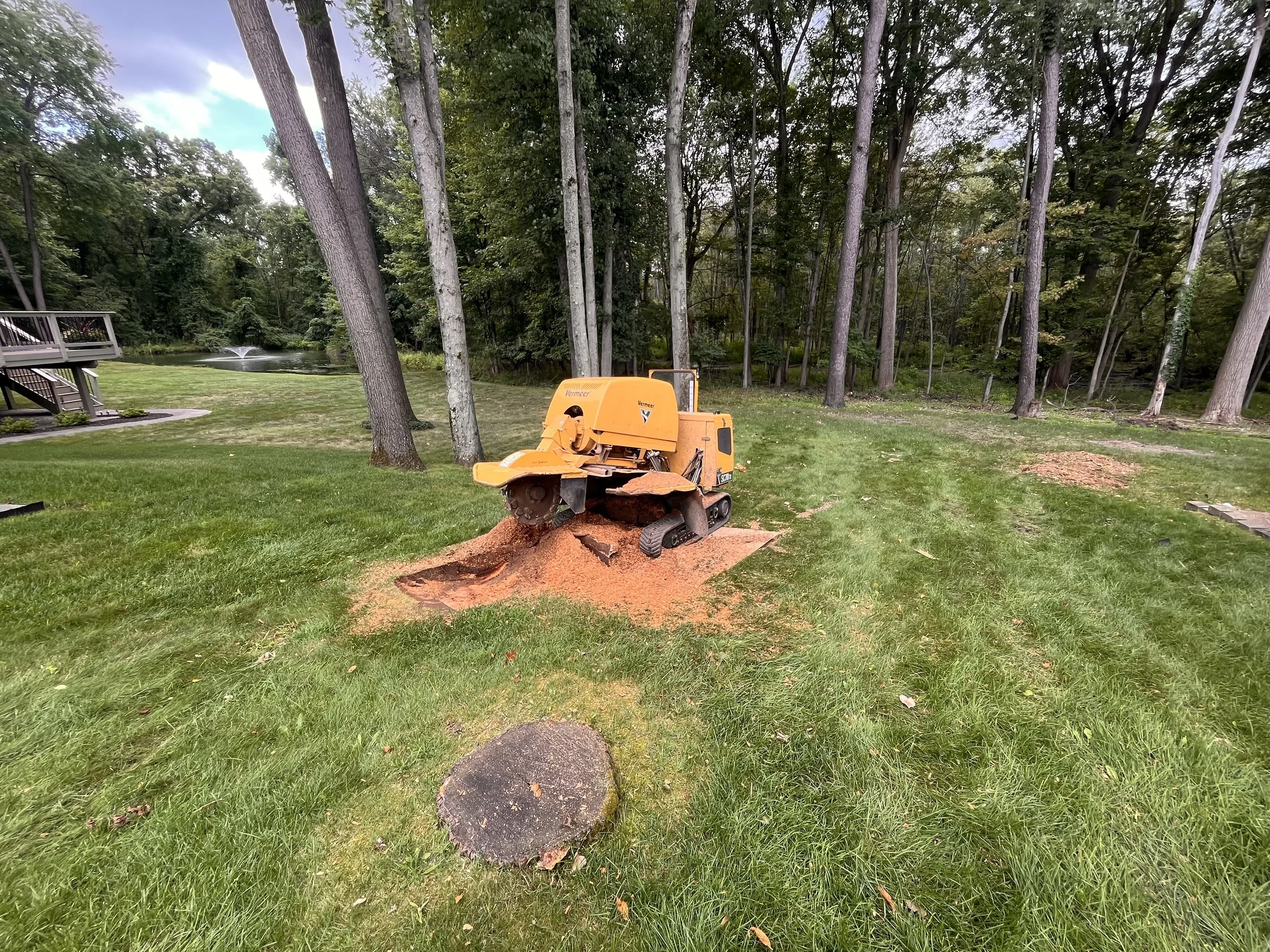 A yellow stump grinder working on a tree stump in a grassy backyard with trees, a pond, and a deck in the background.