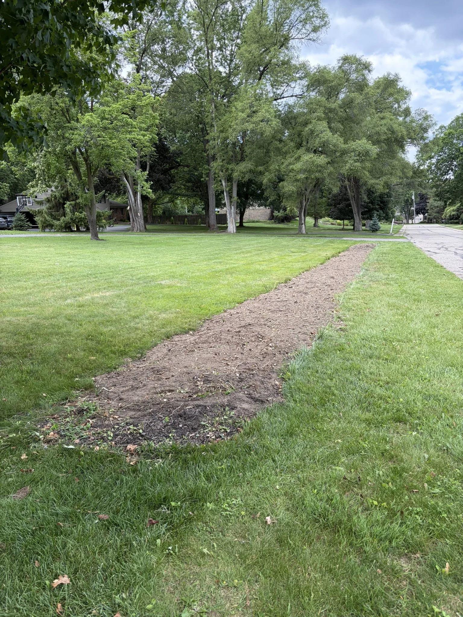 A grassy yard with a dirt path, trees, and residential houses in the background, under a cloudy sky.