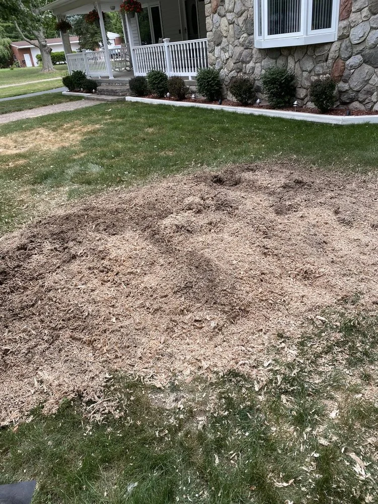 Patch of disturbed soil and mulch in a front yard with grass, bushes, and a stone and siding house with a porch.