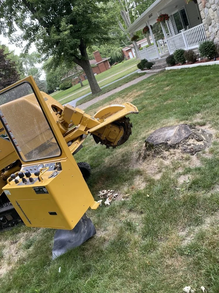 A yellow stump grinder with a black wheel is grinding a large tree stump in a residential yard with green grass, trees, and houses in the background.