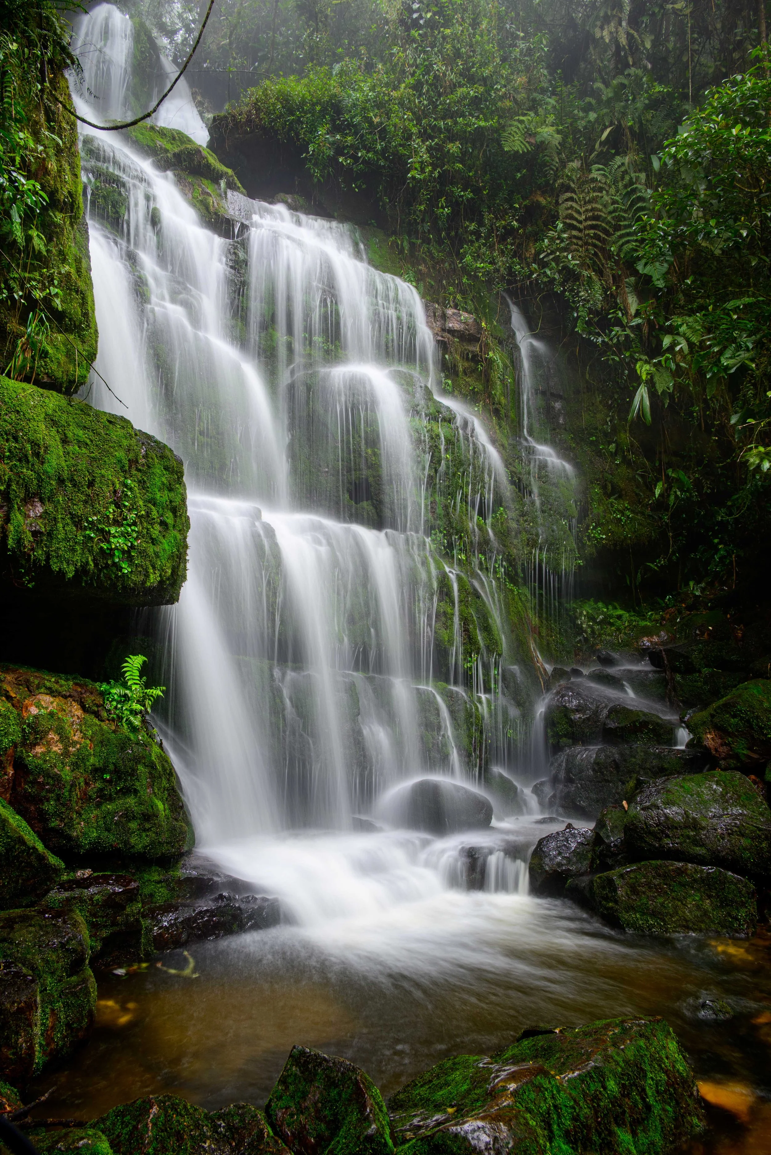 "Laced in Moss and Mist" | Cascada El Hoyo, Colombia (2021)