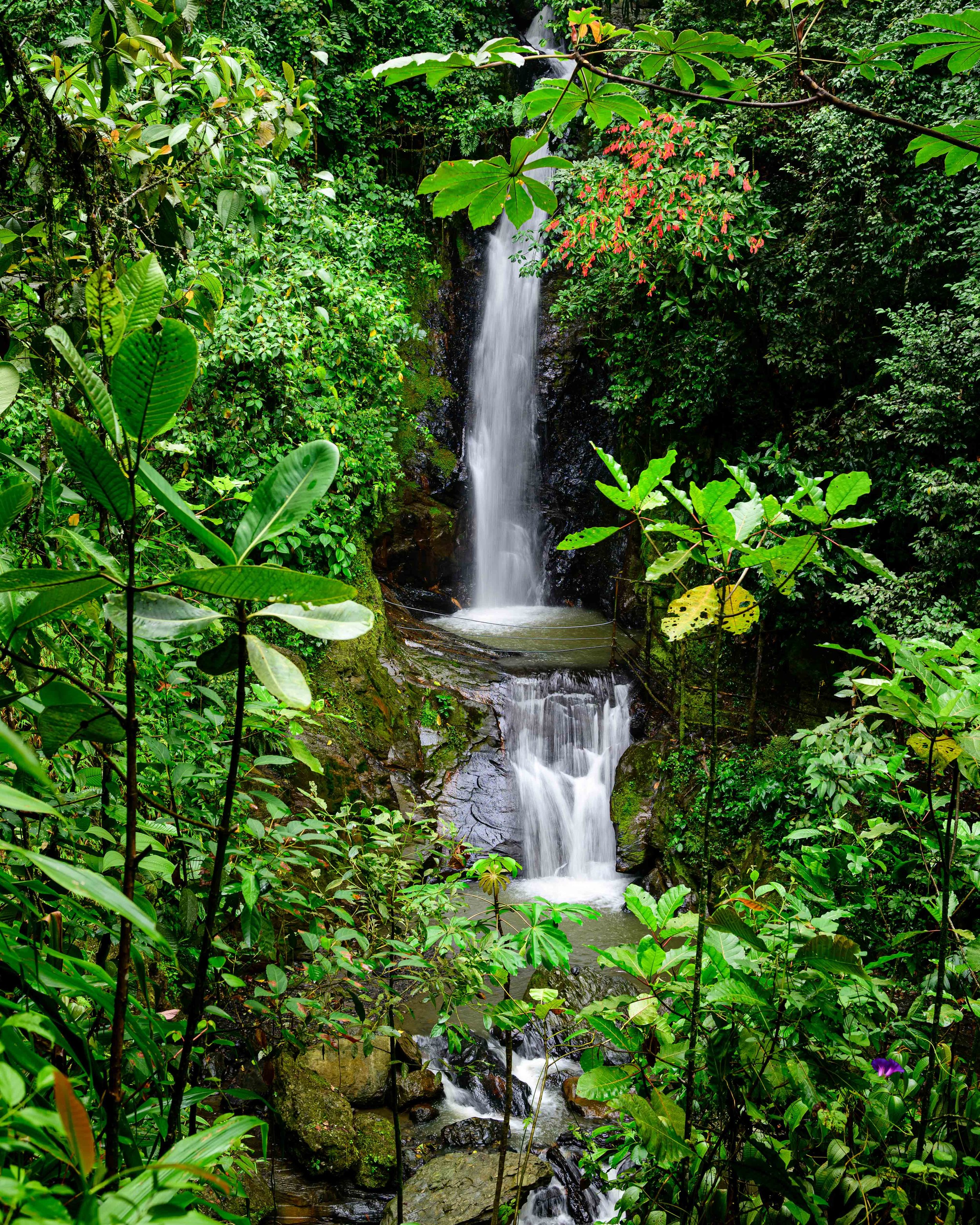 "The Veil Within the Green" | Cascadas del Chupal, Colombia (2024)