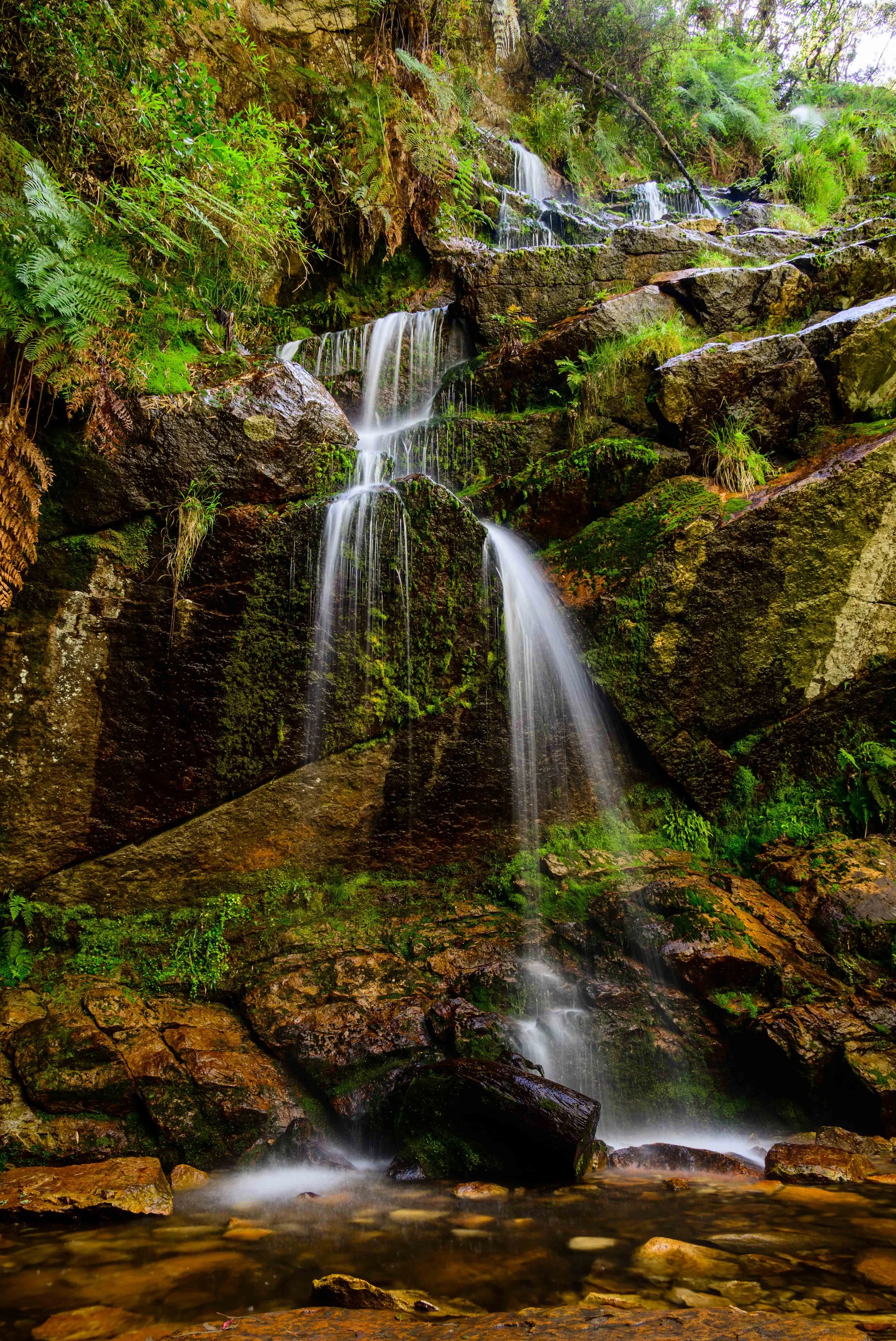 "Staircase of the Stream" | Quebrada Las Delicias, Colombia (2021)