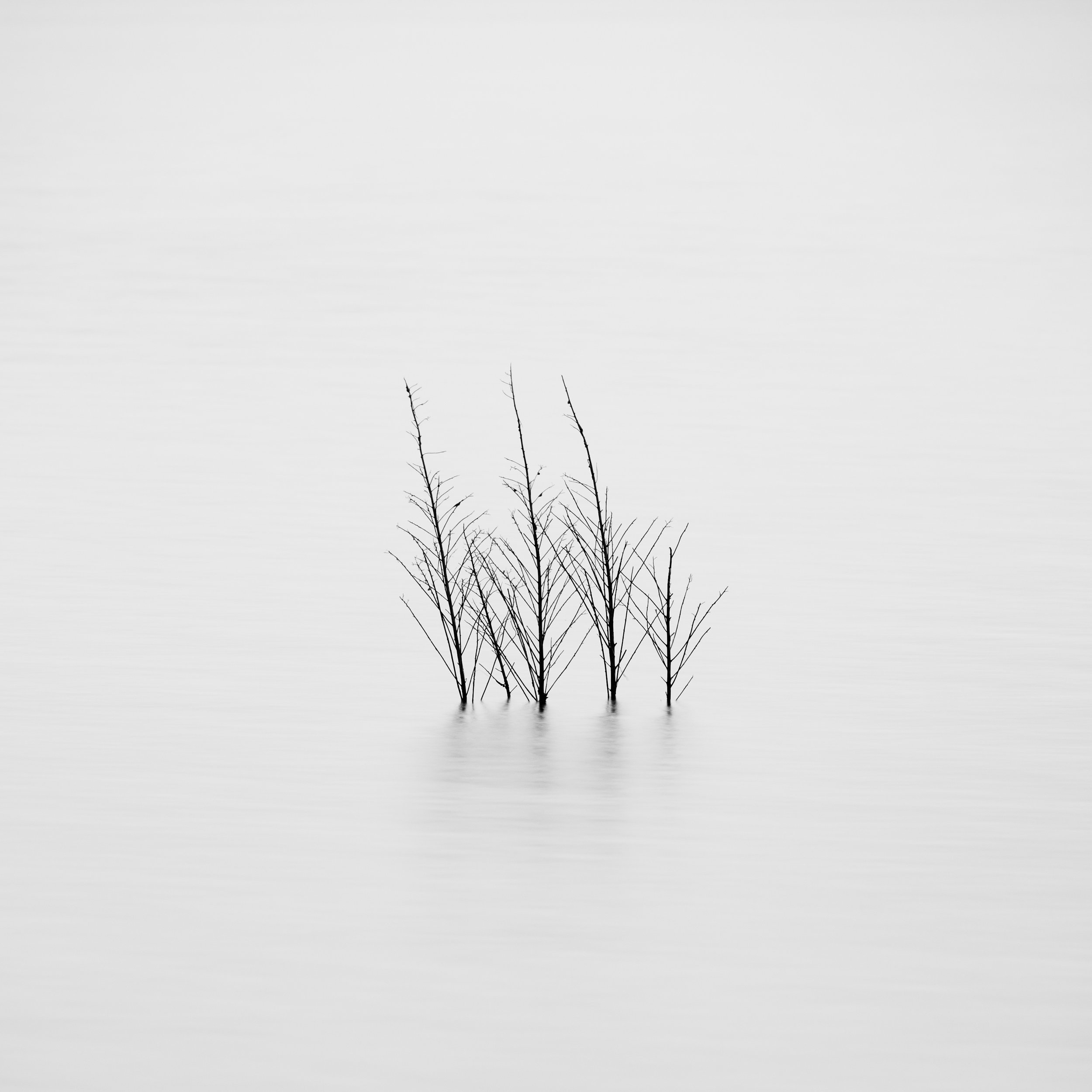 "Where Even Breath Waits" | Intimate Nature (2022)