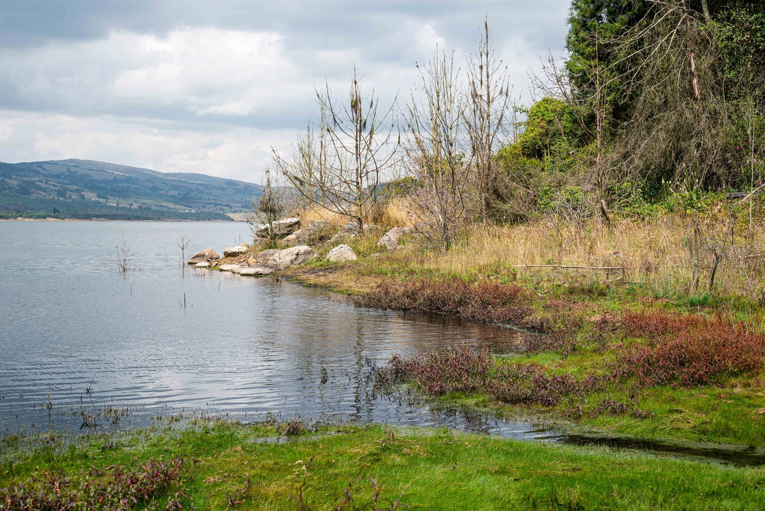 "The Painter’s Pause" | Embalse del Neusa, Colombia (2025)